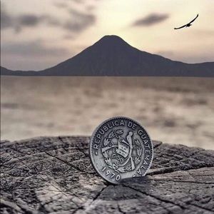 Meet your Posher, Ingrid